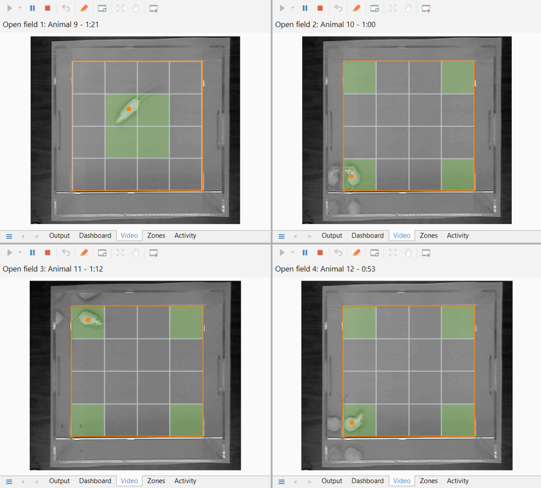 Tracking simultaneously in multiple apparatus picture