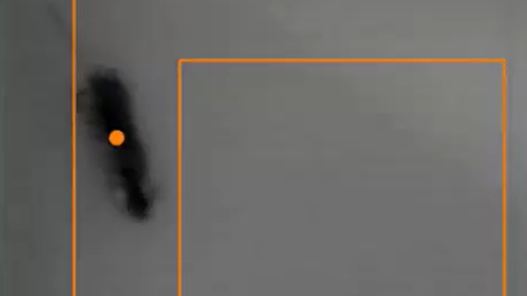 Tracking a dark mouse in an open field with interference picture