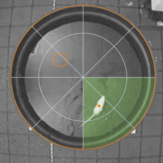 Spatial memory deficits in epileptic mice a. Morris water maze task.