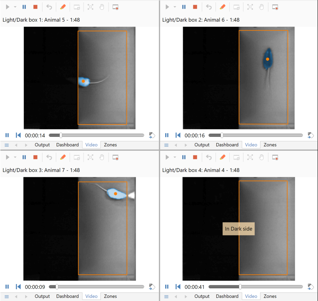 Tracking simultaneously in multiple apparatus picture