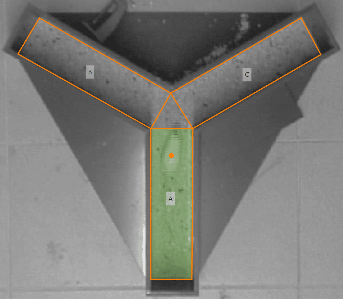 Automatically scoring spontaneous alternations in the y maze test any