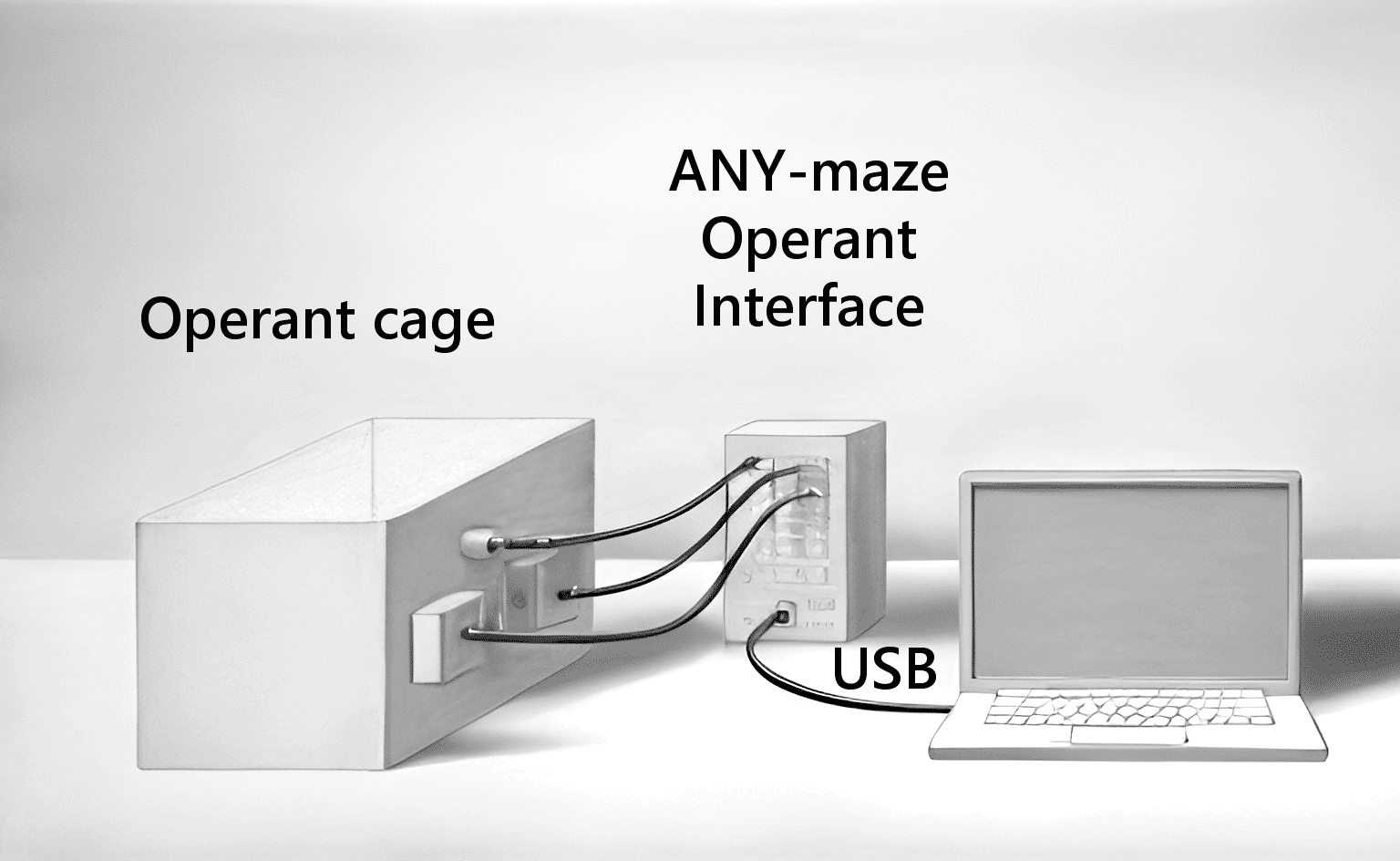 Simplified connectivity picture