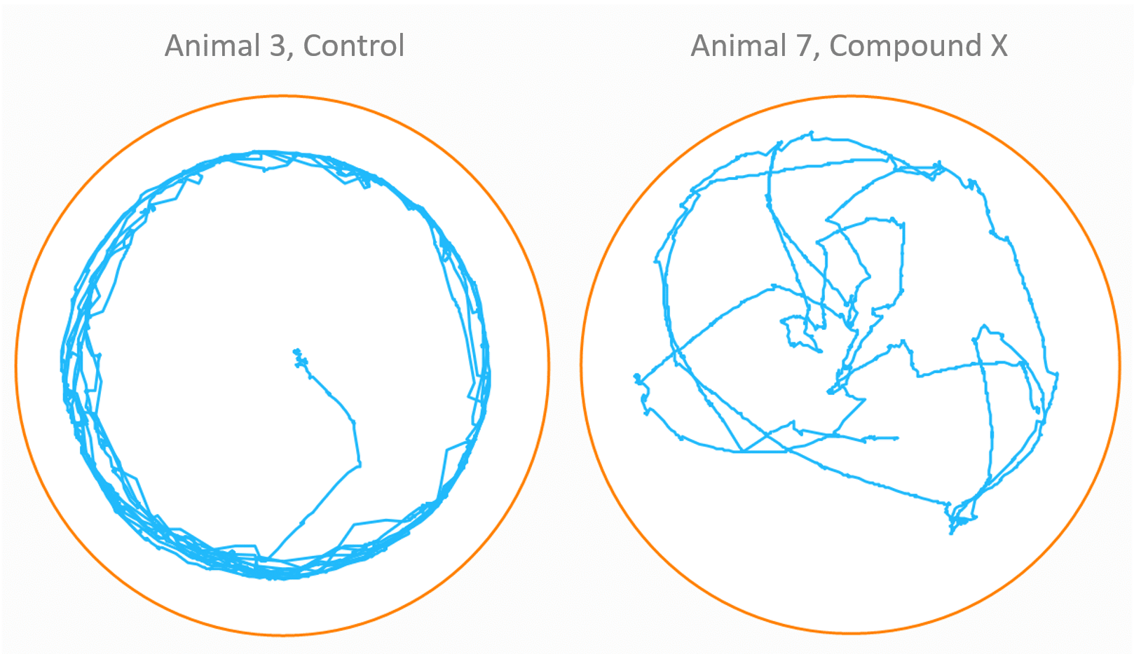 View the animal's track picture