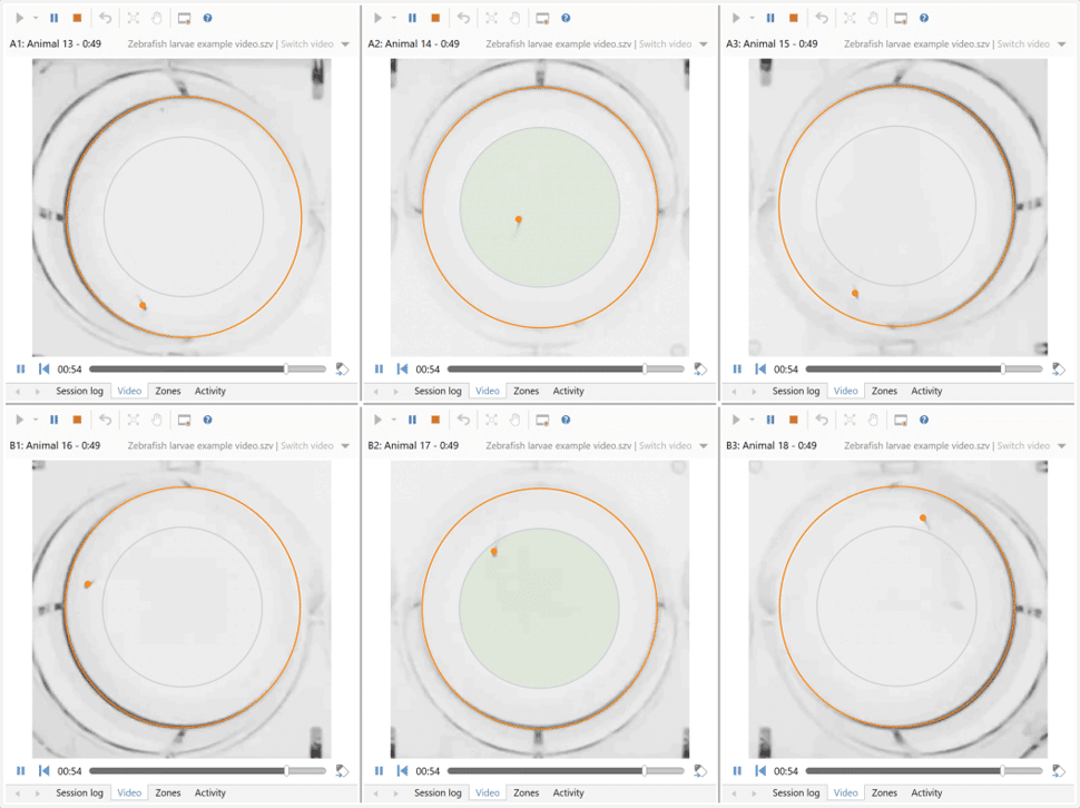 Track multiple animals simultaneously picture